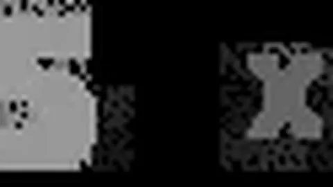 “诺丁汉森林客场挑战埃弗顿，19轮赛事保持不败赢得胜利”